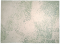 Niebla Amazonite