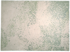 Niebla Amazonite